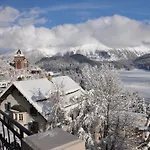 Soldanella São Moritz