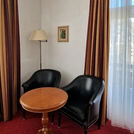 Soldanella St. Moritz