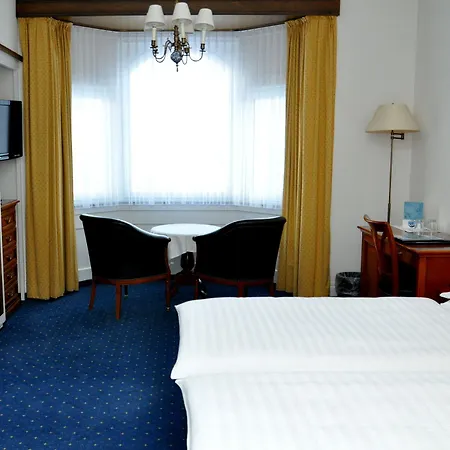 Soldanella São Moritz