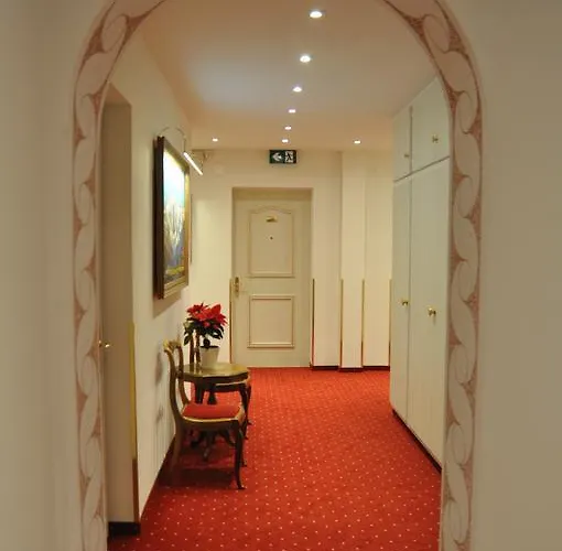 Soldanella St. Moritz