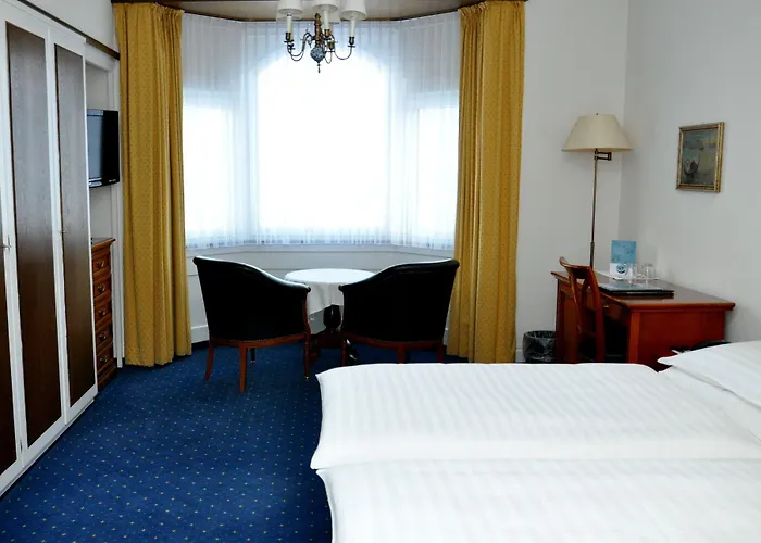 Soldanella São Moritz