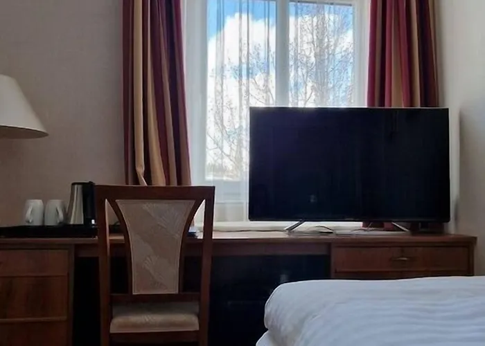 Soldanella São Moritz