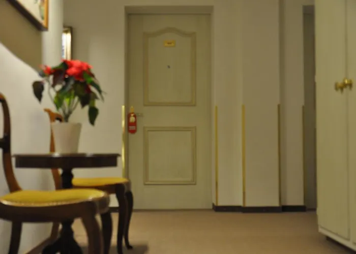 Soldanella São Moritz